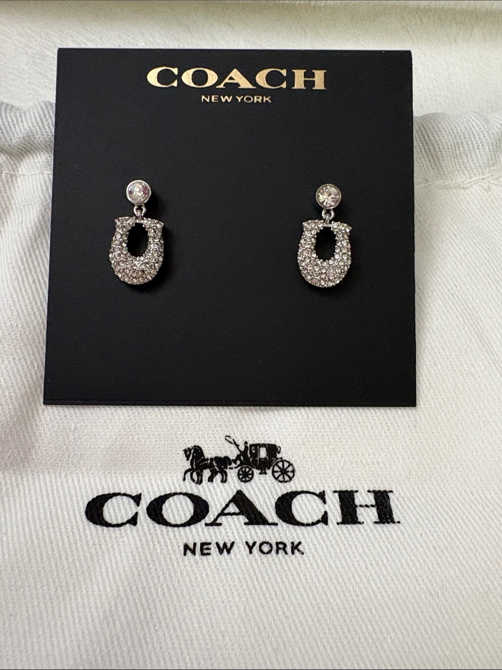 Coach Signature Pave Earrings